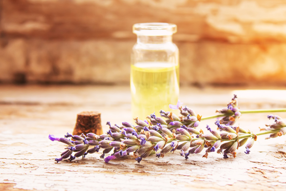 Lavanda, remediul natural pentru piele sănătoasă și echilibrată