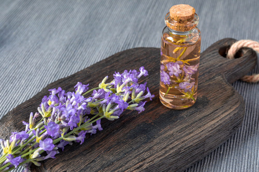 Lavender doTERRA: Uleiul esențial pentru relaxare și regenerare